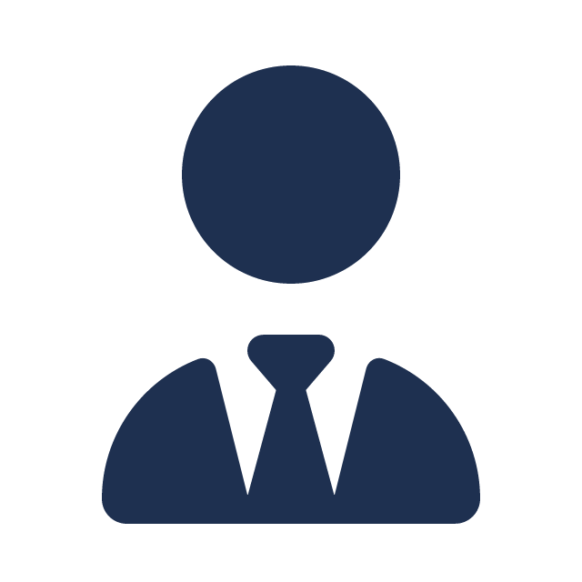 Professional Experience